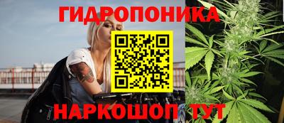 скорость Партизанск